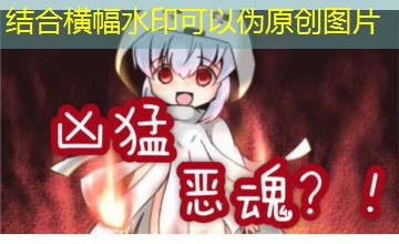 萌新三人行｜北漂后续