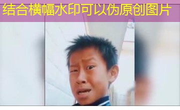 紧急双修！傲娇学姐的能量告急全集免费观看