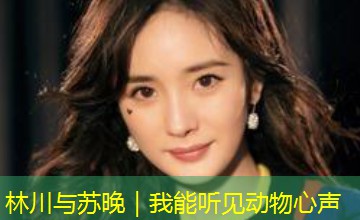 林川与苏晚|我能听见动物心声 林川与苏晚|我能听见动物心声