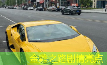 金雞之路剧情亮点