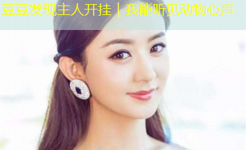 豆豆发现主人开挂|我能听见动物心声 豆豆发现主人开挂|我能听见动物心声