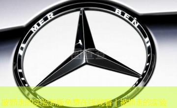 被抓走的实验新版免费在线观看|被抓走的实验 被抓走的实验新版免费在线观看|被抓走的实验