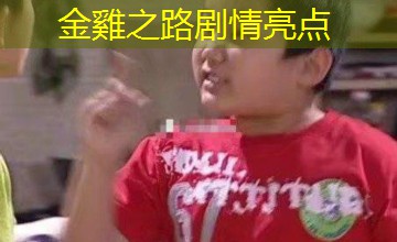 金雞之路剧情亮点