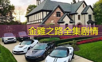 金雞之路全集剧情 金雞之路全集剧情