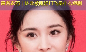黄者农药｜林北被雨姐打飞是什么短剧