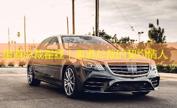 黑道总裁霍霆|黑道总裁的契约情人 黑道总裁霍霆|黑道总裁的契约情人