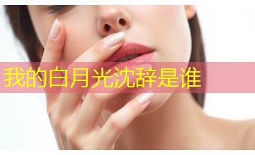 我的白月光沈辞是谁