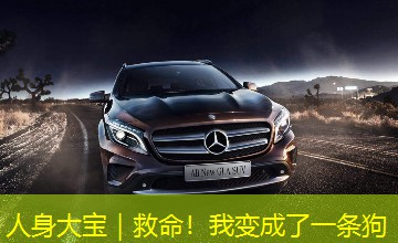 人身大宝｜救命！我变成了一条狗
