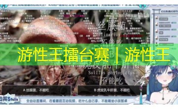 游性王擂台赛｜游性王
