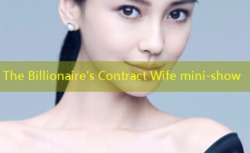 The Billionaire's Contract Wife mini-show
