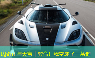 周奇正与大宝｜救命！我变成了一条狗