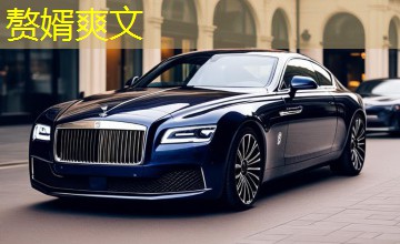 赘婿爽文