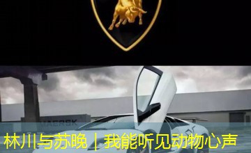 林川与苏晚|我能听见动物心声 林川与苏晚|我能听见动物心声