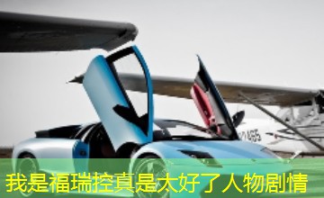 我是福瑞控真是太好了人物剧情