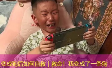变成狗后如何自救｜救命！我变成了一条狗