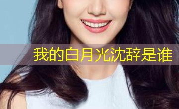 我的白月光沈辞是谁