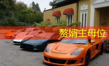 赘婿主母位