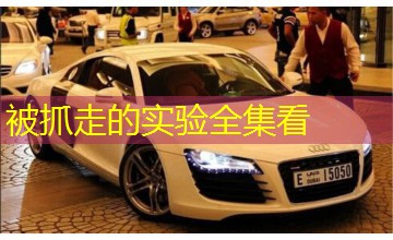 被抓走的实验全集看 被抓走的实验全集看
