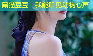 黑猫豆豆|我能听见动物心声 黑猫豆豆|我能听见动物心声