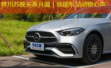 林川苏晚关系升温|我能听见动物心声 林川苏晚关系升温|我能听见动物心声