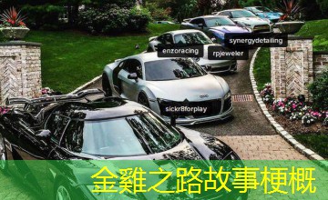 金雞之路故事梗概 金雞之路故事梗概